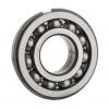 6004NRC3, Single Row Radial Ball Bearing - Open Type w/ Snap Ring #1 small image