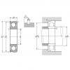 6008ZNC3, Single Row Radial Ball Bearing - Single Shielded w/ Snap Ring Groove