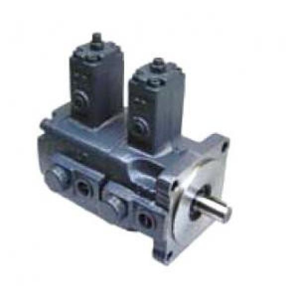 VVPE-F08B-F08B-10 Double Vane Pump #1 image