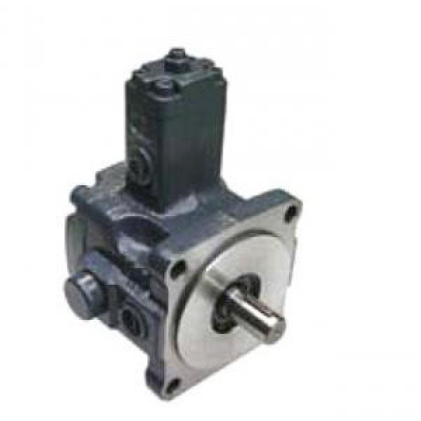 VPE-F40-D-10 Vane Pump #1 image