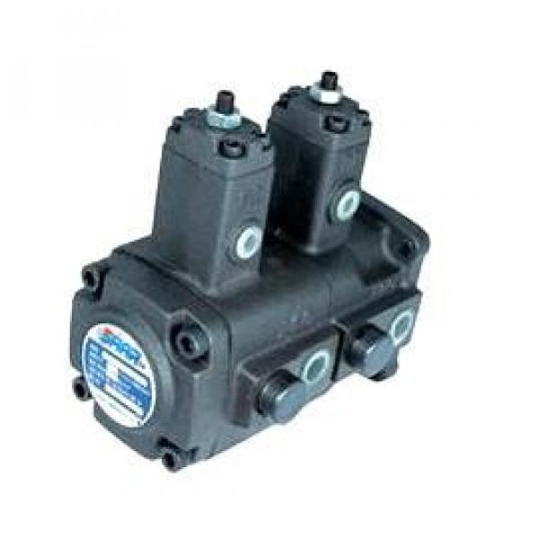 VA1A1-1212F-A1 Variable Displacement Vane Pumps #1 image