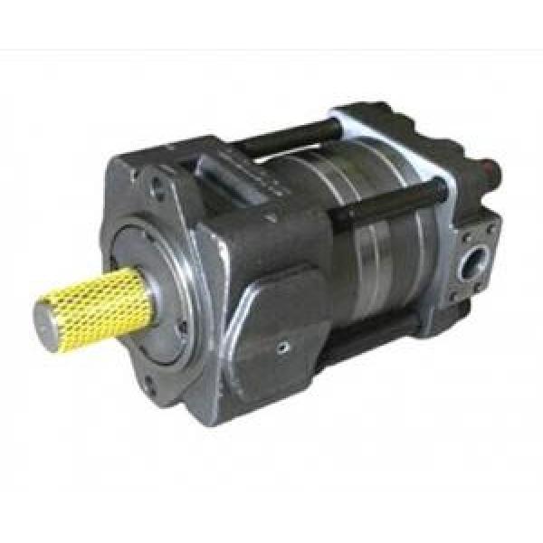 QT22-8L-A QT Series Gear Pump #1 image