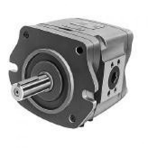 NACHI IPH-6A-80-11 IPH SERIES IP PUMP #1 image