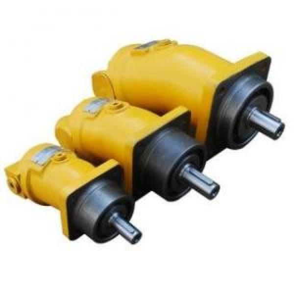 A2F10W2S2 A2F Series Fixed Displacement Piston Pump supply #1 image