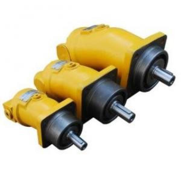 A2F10W4S1  A2F Series Fixed Displacement Piston Pump supply #1 image