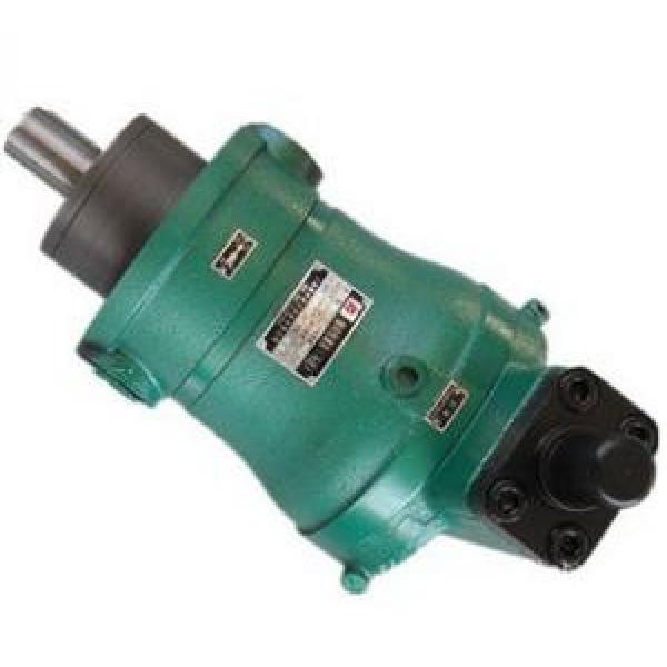 100YCY14-1B  high pressure piston pump supply #1 image