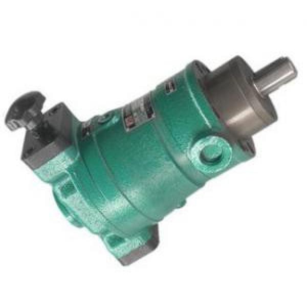 10SCY14-1B  axial plunger pump supply #1 image