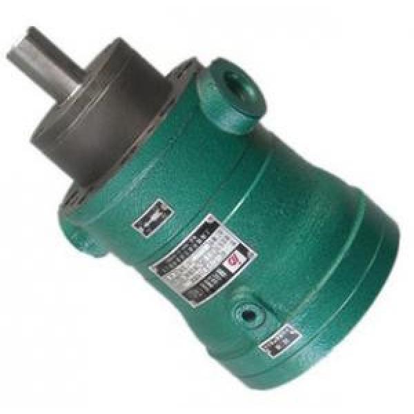 10MCY14-1B  fixed displacement piston pump #1 image