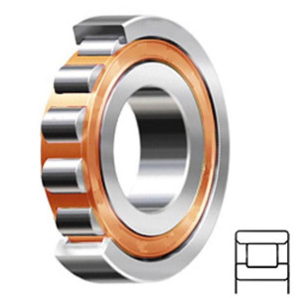 FAG BEARING N204-E-TVP2-C3 services Cylindrical Roller Bearings #1 image