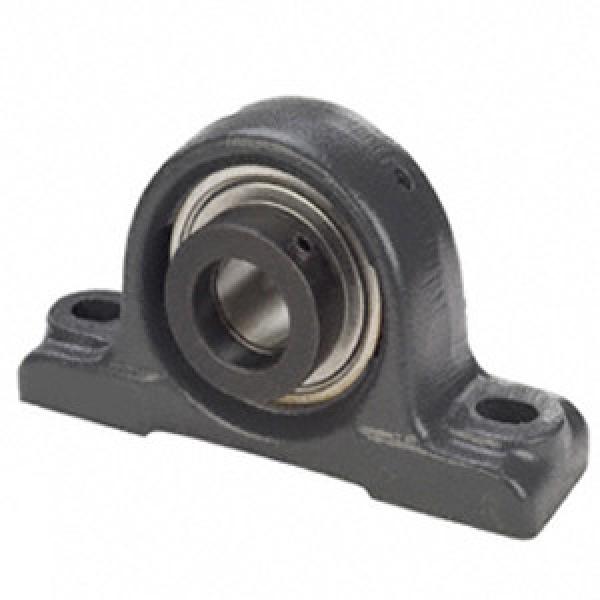 FAFNIR RAO1 11/16 Pillow Block Bearings #1 image