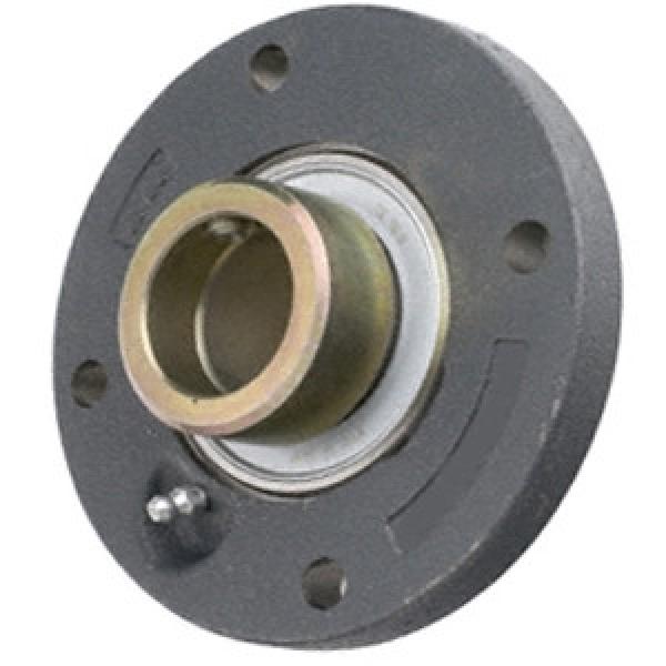 INA PMEY50-N Flange Block Bearings #1 image