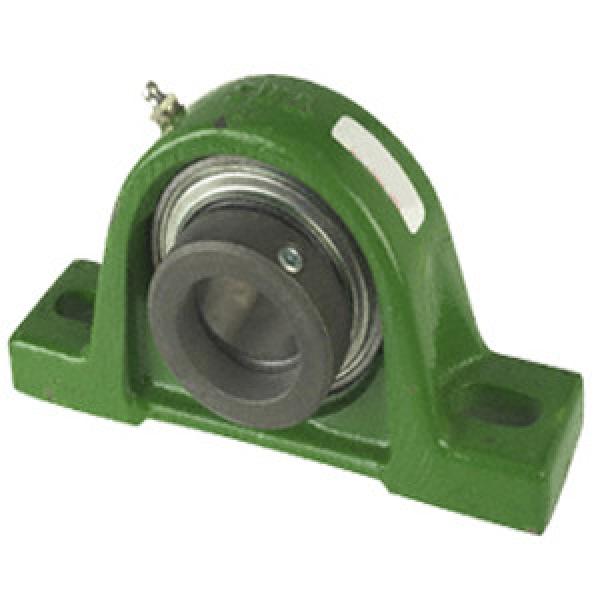 INA RASE15/16 Pillow Block Bearings #1 image