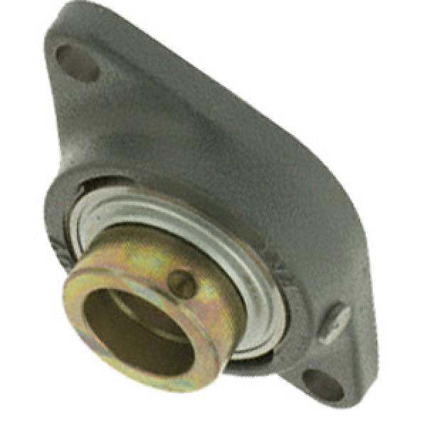 INA RCJT1/2 Flange Block Bearings #1 image