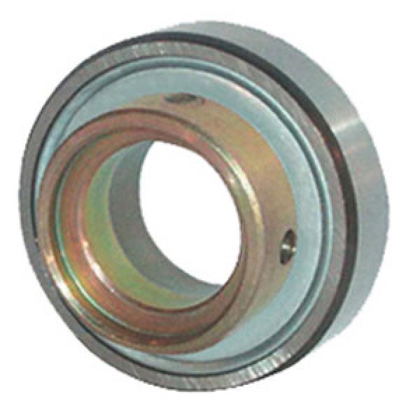  RAE20-NPP-NR Insert Bearings Cylindrical OD #1 image