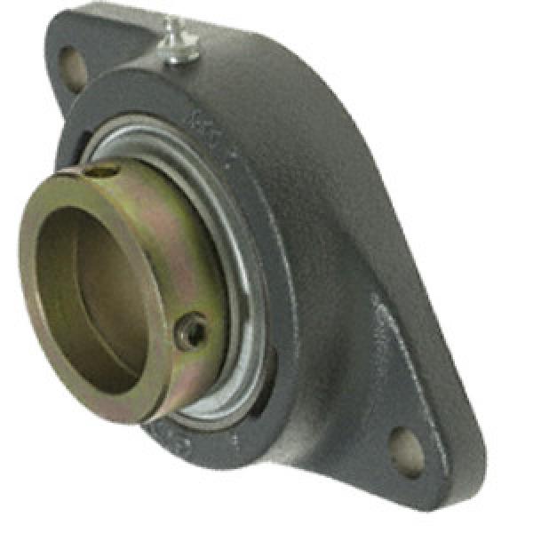 INA RCJTZ30 Flange Block Bearings #1 image