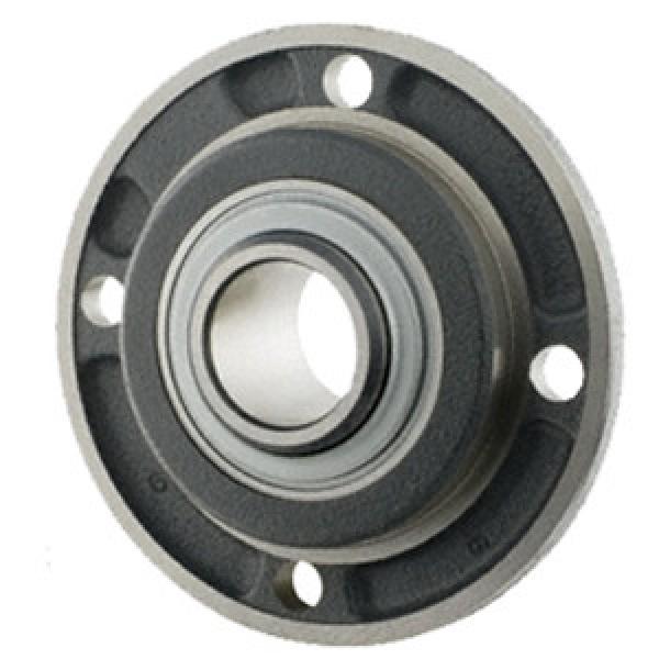 INA RMEY25-N Flange Block Bearings #1 image