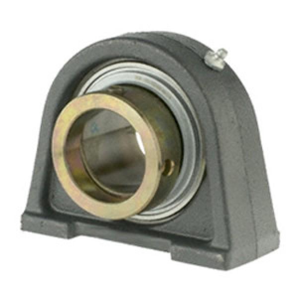 INA RSHE30-N Pillow Block Bearings #1 image