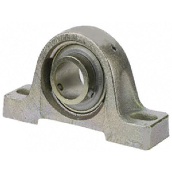 SKF ZPB103ZMG Pillow Block Bearings #1 image