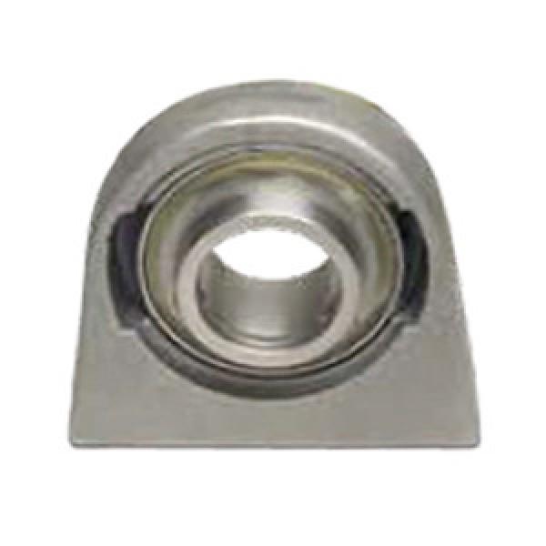 SKF CTB25SS Pillow Block Bearings #1 image