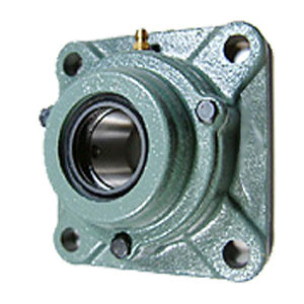  C-UCF205D1 Flange Block Bearings #1 image