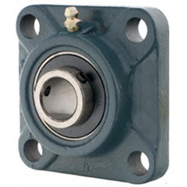 NTN UCF203D1 Flange Block Bearings #1 image