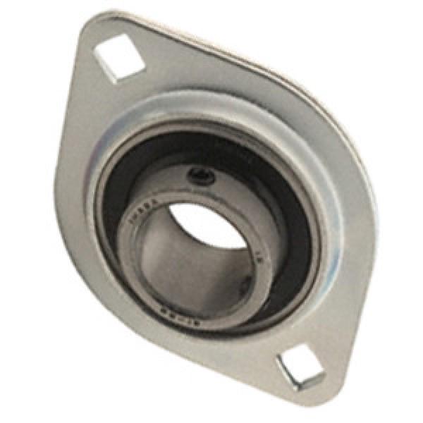 INA RATY17 Flange Block Bearings #1 image