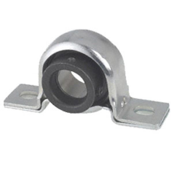 INA PB30 Pillow Block Bearings #1 image