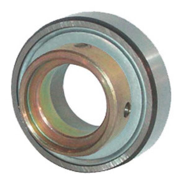 INA PE25 Insert Bearings Spherical OD #1 image