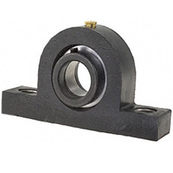  RBGU1 3/16 Pillow Block Bearings #1 image