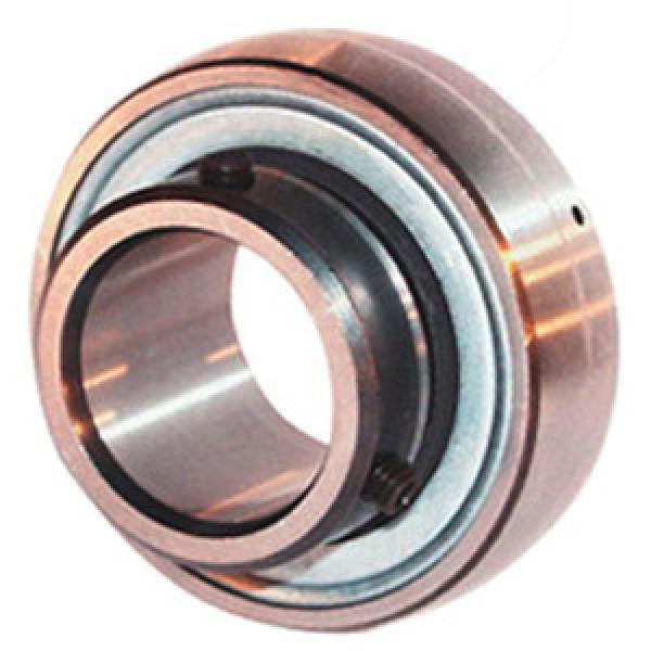 INA AY25-NPP-B Insert Bearings Spherical OD #1 image