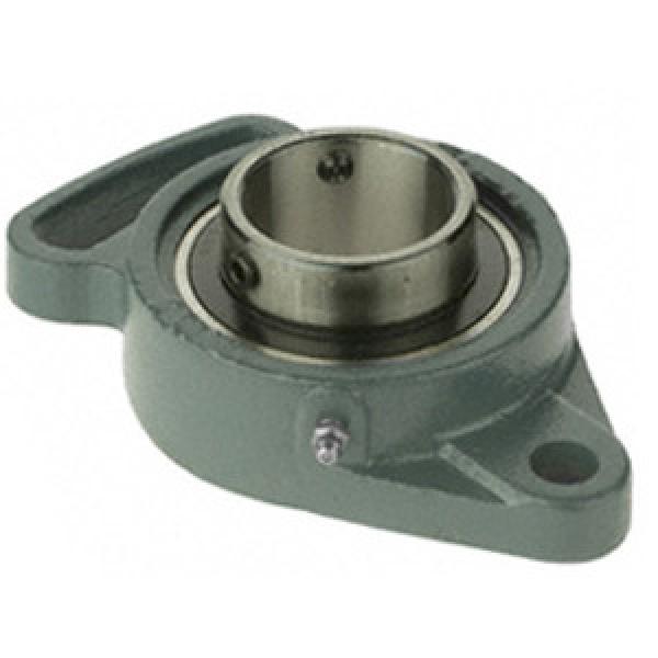  UCFA205D1 Flange Block Bearings #1 image