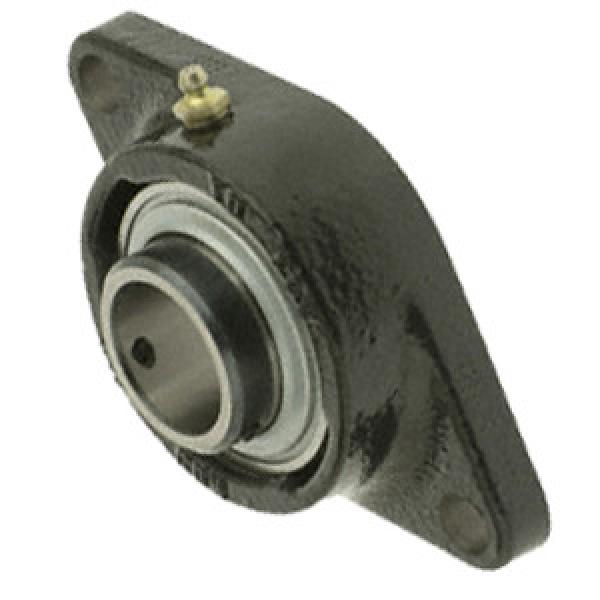 INA RCJTY1-1/4-N Flange Block Bearings #1 image