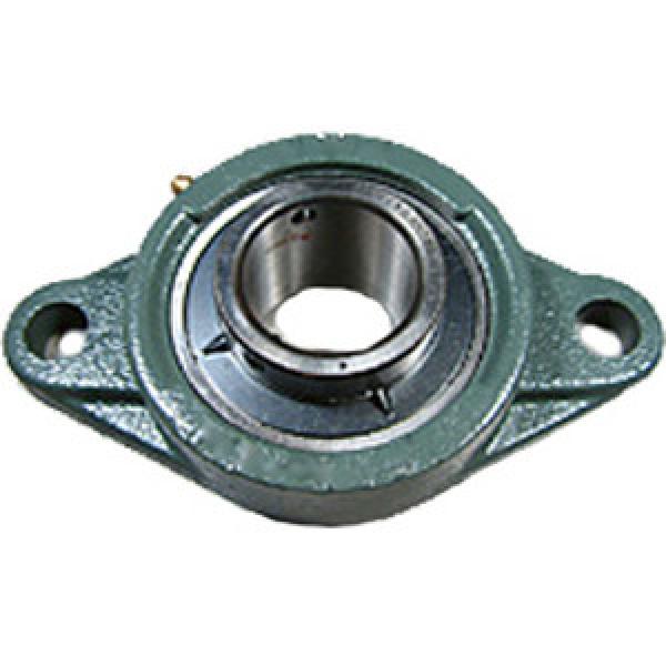 NTN UCFL206-103D1 Flange Block Bearings #1 image