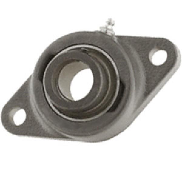 INA TCJT35 Flange Block Bearings #1 image