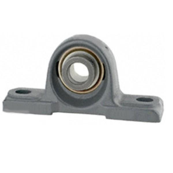 FAFNIR LSAO1 15/16 Pillow Block Bearings #1 image