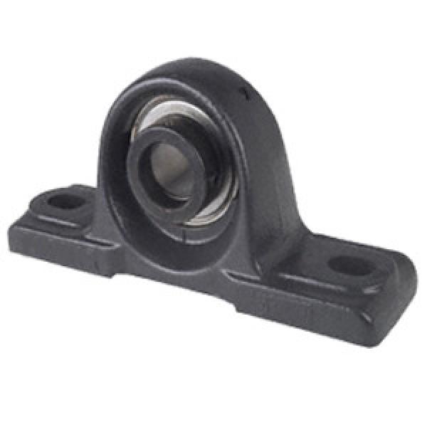 INA RSAO90 Pillow Block Bearings #1 image