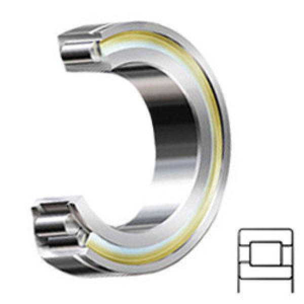 INA SL192305 services Cylindrical Roller Bearings #1 image