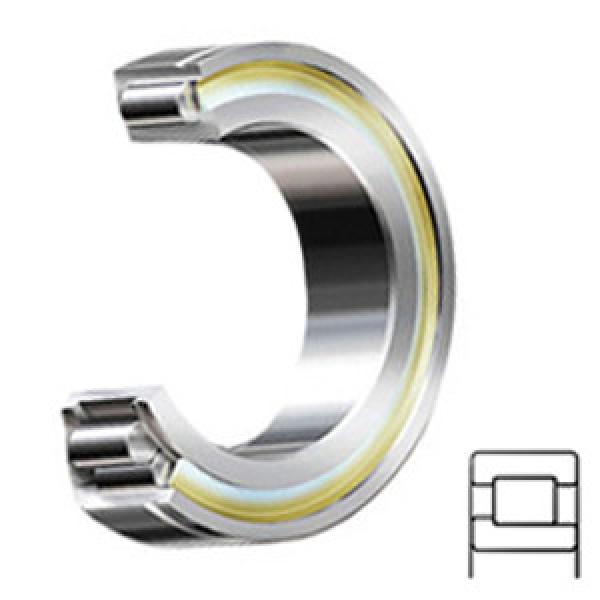 INA SL192309-C3 services Cylindrical Roller Bearings #1 image