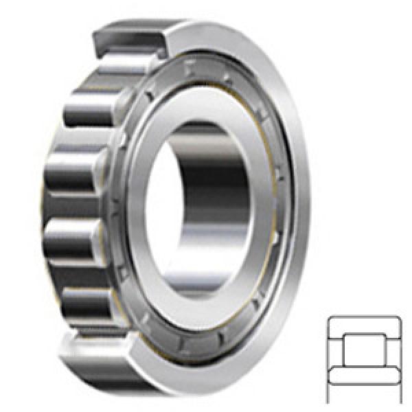 NSK NU203W services Cylindrical Roller Bearings #1 image