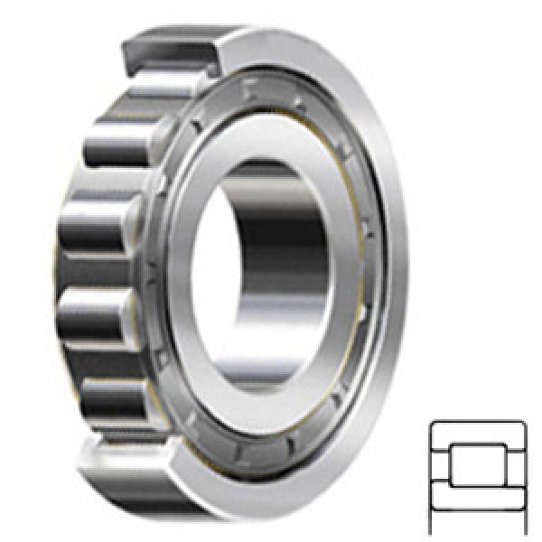 NSK NJ203W Cylindrical Roller Bearings #1 image