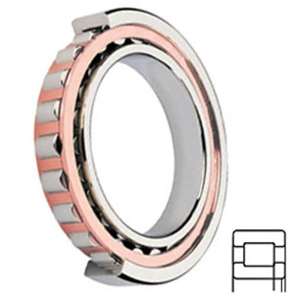 FAG BEARING NUP218-E-TVP2-C3services Cylindrical Roller Bearings #1 image