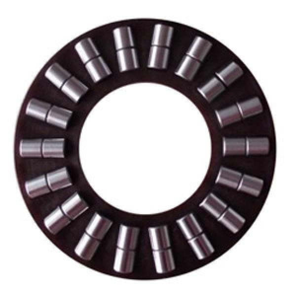 INA K89311TN Thrust Roller Bearing #1 image