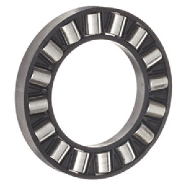 INA K81124-TV Thrust Roller Bearing #1 image