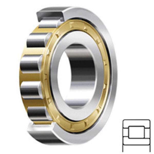 SKF NJ 2313 ECML/C3 Cylindrical Roller Bearings #1 image
