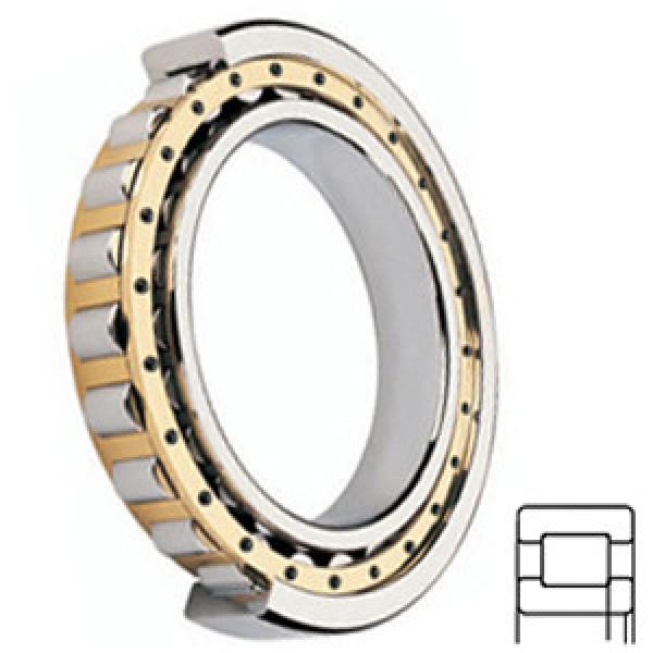 FAG BEARING NUP219-E-M1-C3 services Roller Bearings #1 image