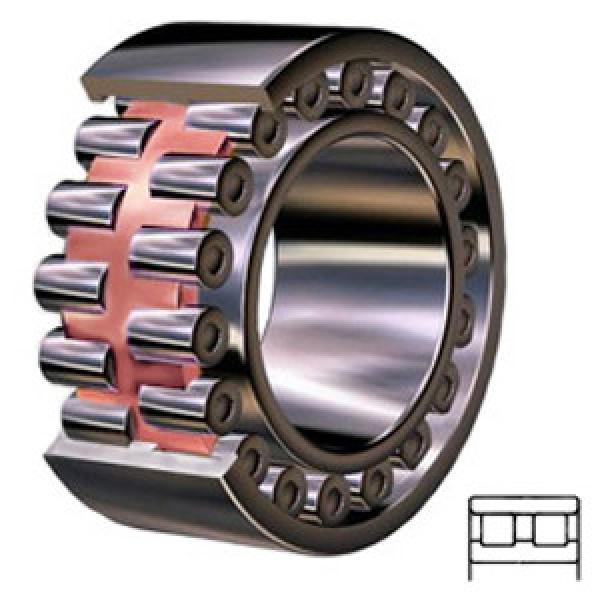 NSK NN3009TBKRE44CC1P4 services Cylindrical Roller Bearings #1 image