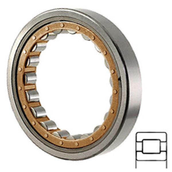 TORRINGTON 5222-WM Cylindrical Roller Bearings #1 image