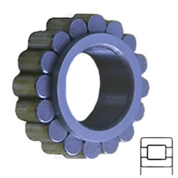 INA RSL182208 Cylindrical Roller Bearings #1 image