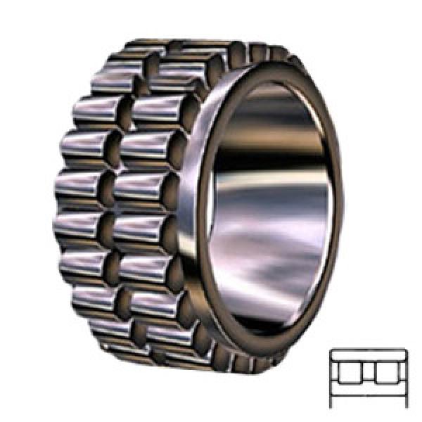 INA RSL185007 services Cylindrical Roller Bearings #1 image