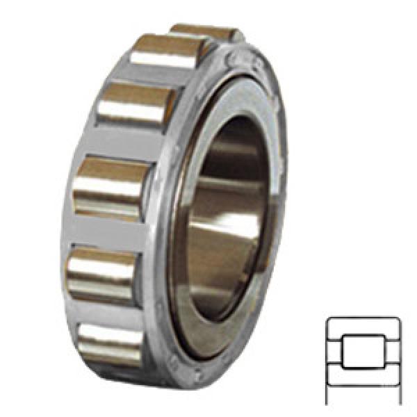 NTN MU1017L services Cylindrical Roller Bearings #1 image